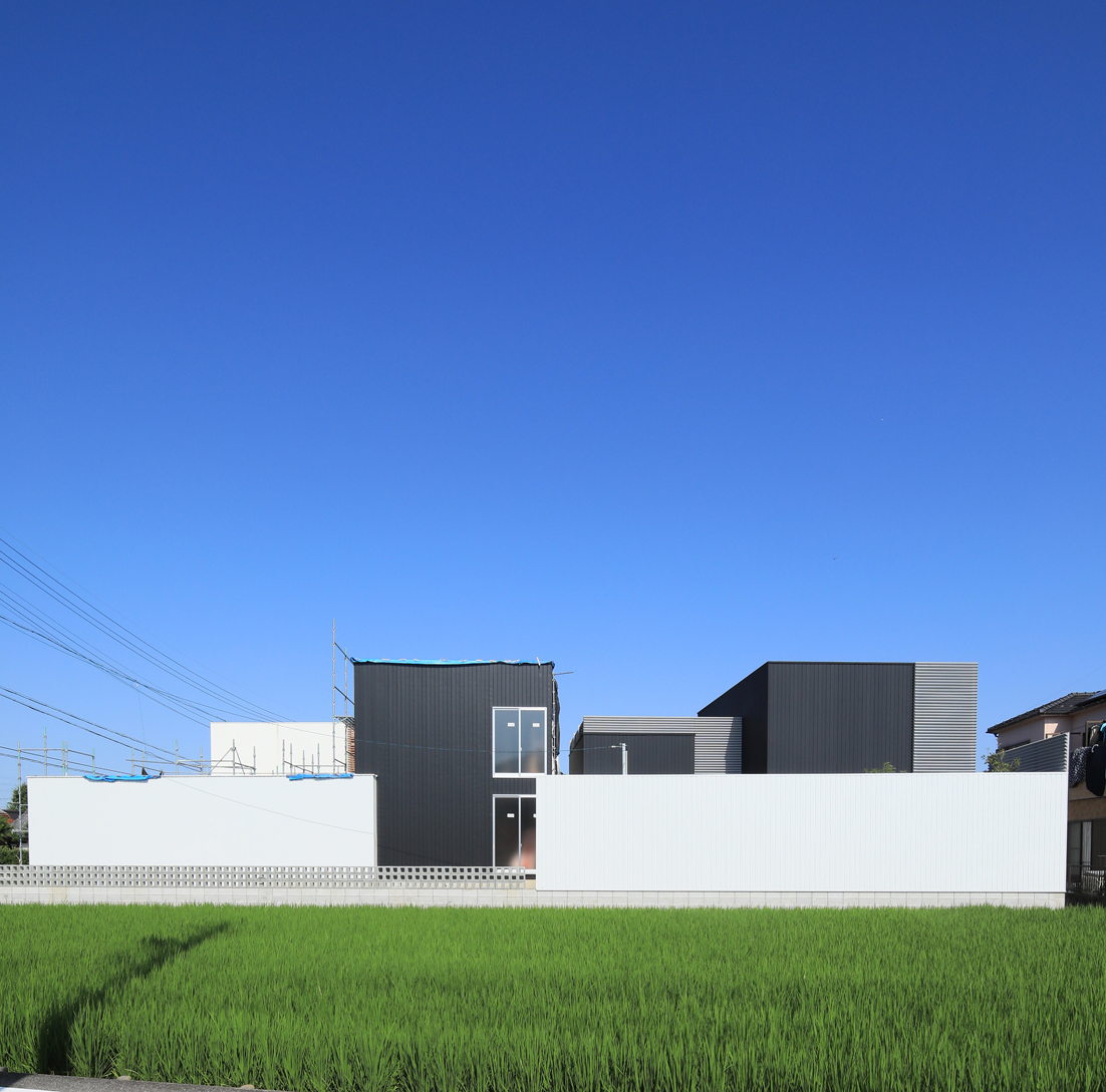   写真